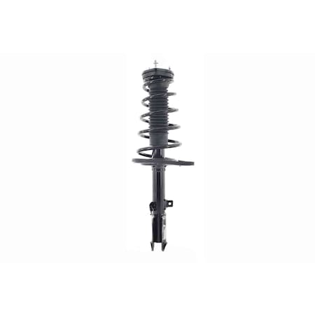 Fcs Struts COMPLETE STRUT ASSEMBLY 1333592L